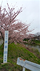 20160418ʿ褤κʿή1
