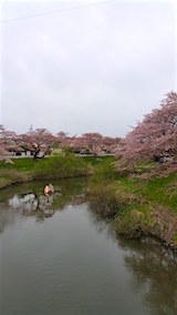 20160418ʿ褤κʿή