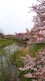20160418ʿ褤κʿή2