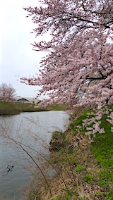 20160418ʿ褤κʿ綶ή