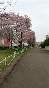 20160418ʿ褤κ껳6
