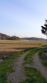 20160424外の様子夕方1