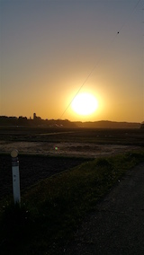 20160424外の様子夕方2