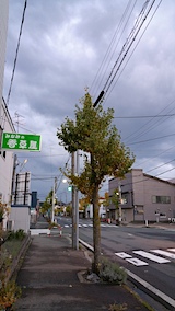20161104ͻī1
