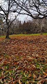 20161123ͻҷȪ