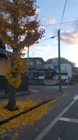 20161124ͻ᤮祦ι