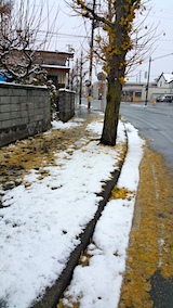20161125򤫤֤ä祦դä