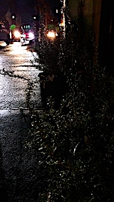 20161125ͻͼ2
