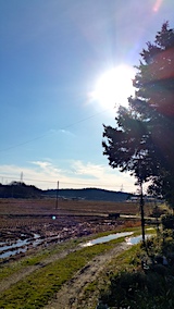 20161204ͻ
