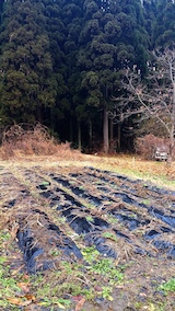20161214䤷ʤäȪ