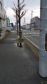 20161220外の様子歩道の雪がとける