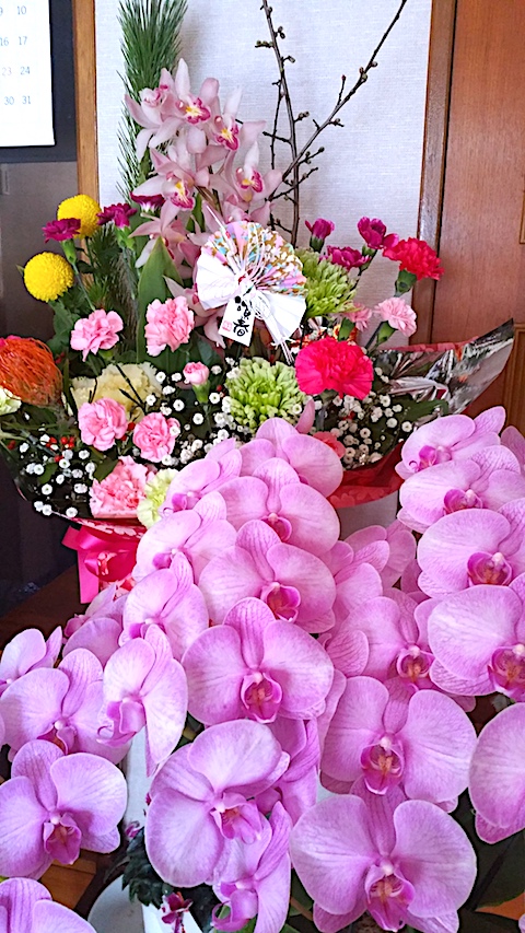 20161230����β�