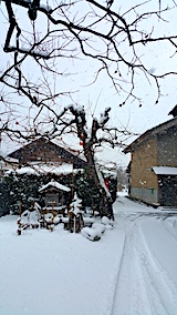 20161230�����ͻ�����2