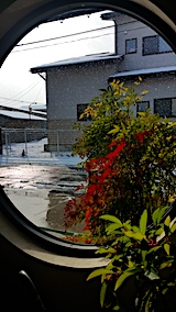 20161230���