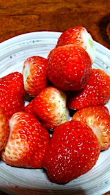 20161230�ǥ����ȤΥ�����