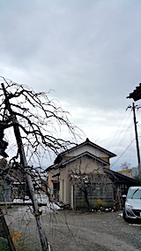 20170101�����ͻ�ī