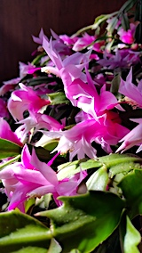 20170101��������Ӥ��