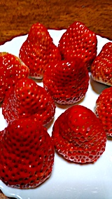 20170101�ǥ����ȥ�����