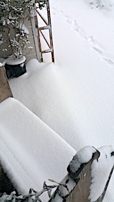 20170207吹雪で玄関が