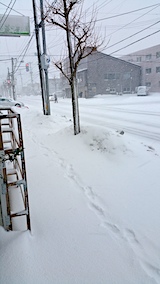 20170207雪寄せ前歩道1