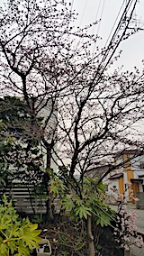 20170415β֤Ϥ