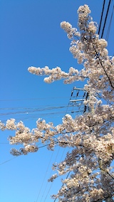 20170424ͻҺ3