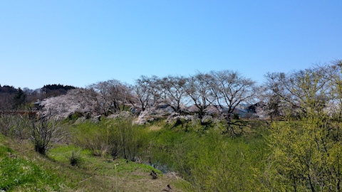 20170424ʿ褤κ綶1