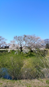 20170424ʿ褤κ綶2