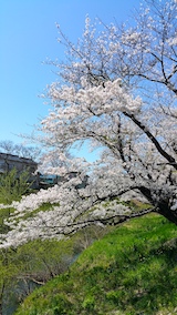 20170424ʿ褤κ綶1