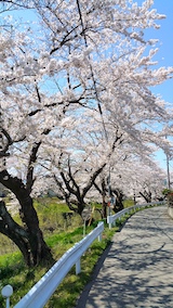 20170424ʿ褤κ綶2