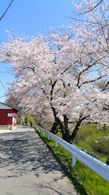 20170424ʿ褤κ綶6
