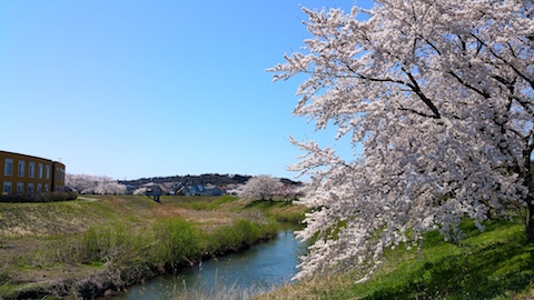 20170424ʿ褤κӿ