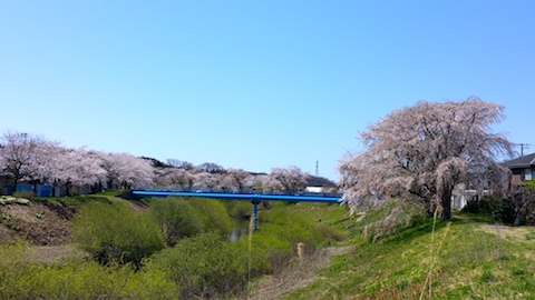 20170424ʿ褤κĲ1