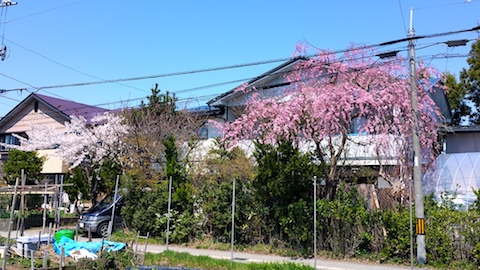 20170424ʿ褤κ̤λ޿2