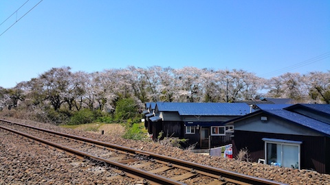 20170424ʿ褤κ