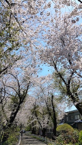 20170424ʿ褤κĻϩ1