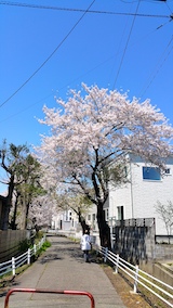 20170424ʿ褤κĻϩ2