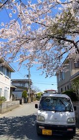 20170424ʿ褤κĻϩ3