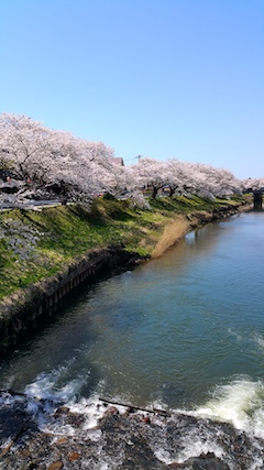 20170424ʿ褤κɴж3