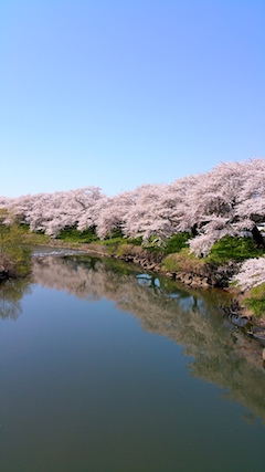 20170424ʿ褤κ沼2