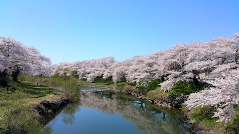 20170424ʿ褤κ沼3