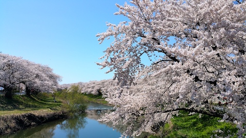 20170424ʿ褤κ沼4