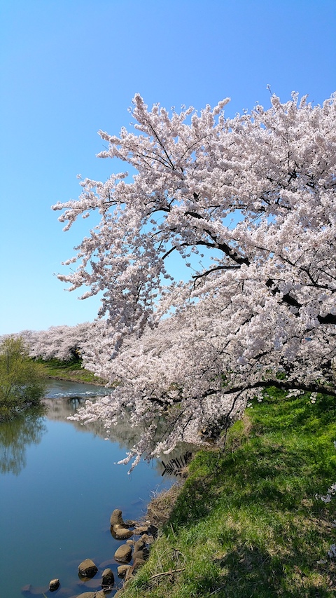 20170424ʿ褤κ沼5