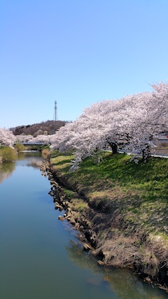 20170424ʿ褤κ沼7