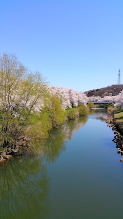 20170424ʿ褤κ沼6