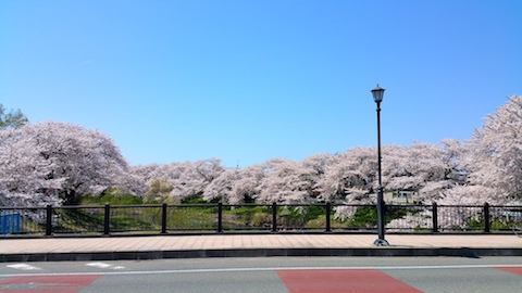20170424ʿ褤κ沼9