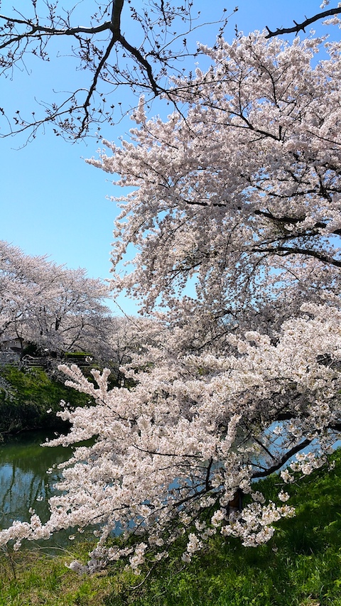 20170424ʿ褤κ沼13