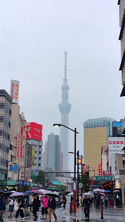 20170618𤫤饹ĥ꡼˾