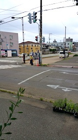 20170717外の様子昼過ぎ