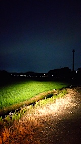 20170717山からの帰り道の様子田んぼ